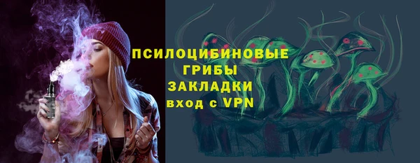 прущие грибы Алексеевка