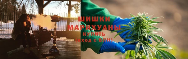 spice Алзамай
