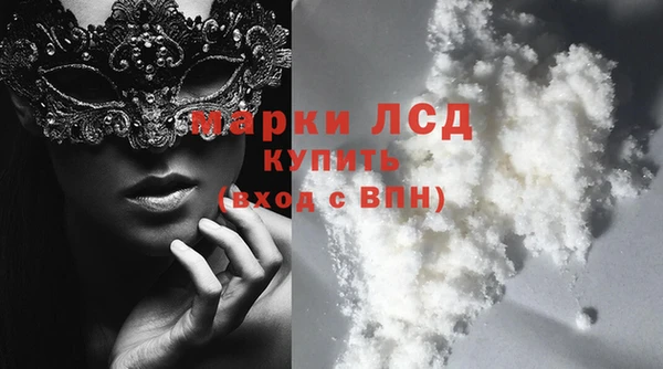 spice Алзамай