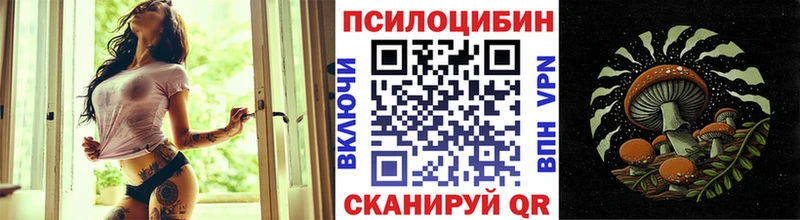 где купить наркотик  Моздок  Галлюциногенные грибы GOLDEN TEACHER 